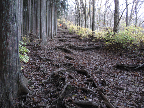 20181115hike (143)